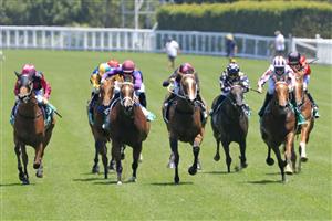 SYDNEY, AUSTRALIA - JANUARY 23: Tommy Berry on Art Cadeau (maroon/white) wins race 2 the TAB Highway Handicap during Sydney Racing at Royal Randwick Racecourse on January 23, 2021 in Sydney, Australia. (Photo by Mark Evans/Getty Images)