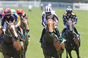 SYDNEY, AUSTRALIA - JANUARY 23: Tommy Berry on Art Cadeau (maroon/white) wins race 2 the TAB Highway Handicap during Sydney Racing at Royal Randwick Racecourse on January 23, 2021 in Sydney, Australia. (Photo by Mark Evans/Getty Images)