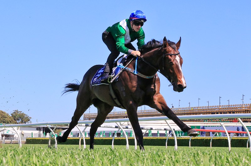 Blue Diamond Stakes odds