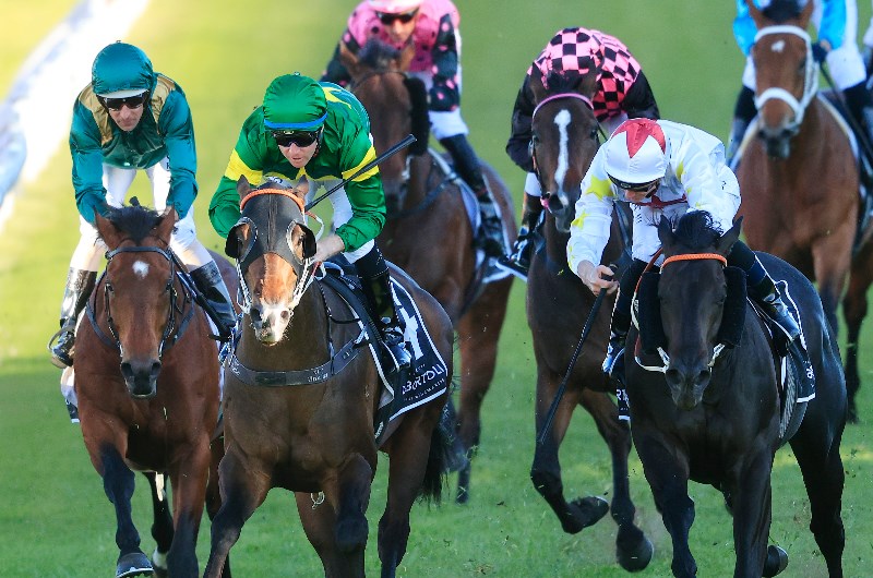 Expressway Stakes 2021 Final Field