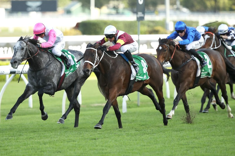 Gosford tips for 27.01.2021