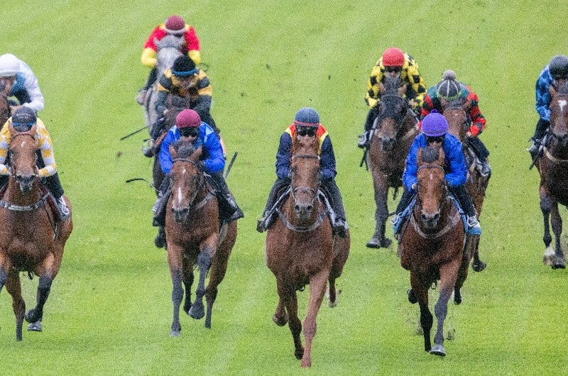 Nature Strip wins Rosehill trial