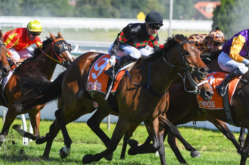 Caulfield Racing Tips