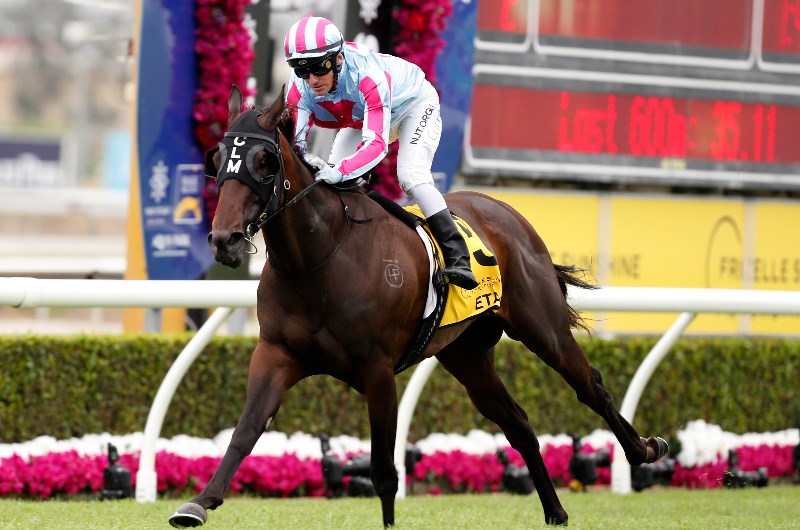Sunshine Coast Betting Tips