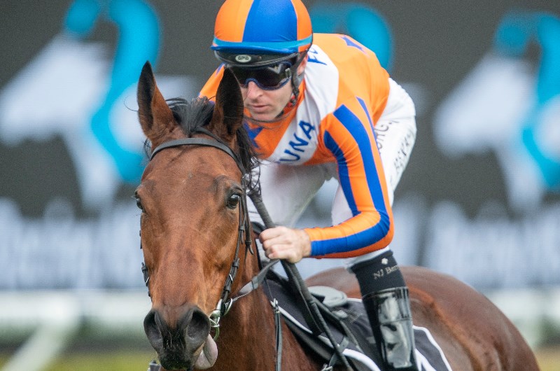 Thorndon Mile Betting Tips