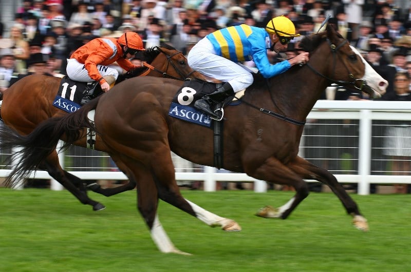 Ascot Tips for 30.01.2021