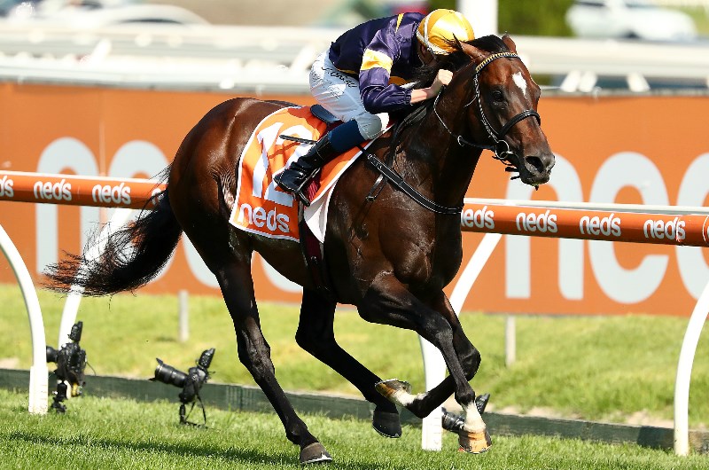 CF Orr Stakes Betting Tips