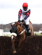DONCASTER, ENGLAND - JANUARY 29: Zalvados ridden by Paddy Brennan clears a fence on their way to winning the Sky Bet Britain's Most Popular Online Bookmaker Novices' Handicap Chase at Doncaster Racecourse on January 29, 2021 in Doncaster, England. (Photo by Tim Goode - Pool/Getty Images)