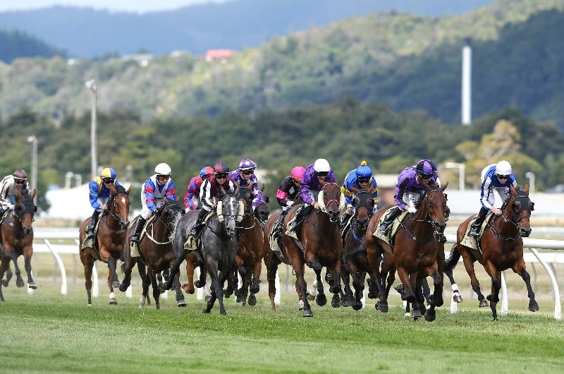 Trentham racecourse