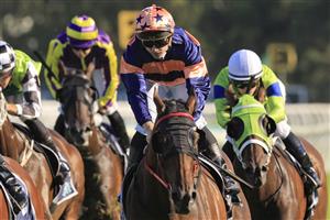 SYDNEY, AUSTRALIA - JANUARY 30: James Innes Jnr on Brutality wins race 8 the Sky Racing Active Handicap during Sydney Racing at Rosehill Gardens on January 30, 2021 in Sydney, Australia. (Photo by Mark Evans/Getty Images)