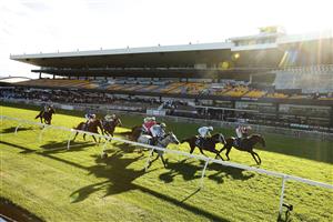 SYDNEY, AUSTRALIA - JANUARY 30: James Innes Jnr on Brutality wins race 8 the Sky Racing Active Handicap during Sydney Racing at Rosehill Gardens on January 30, 2021 in Sydney, Australia. (Photo by Mark Evans/Getty Images)