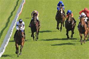 SYDNEY, AUSTRALIA - JANUARY 30: Josh Parr on Canasta wins race 6 the Schweppes Handicap during Sydney Racing at Rosehill Gardens on January 30, 2021 in Sydney, Australia. (Photo by Mark Evans/Getty Images)