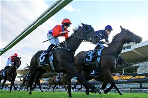SYDNEY, AUSTRALIA - JANUARY 30: Josh Parr on Big Parade wins race 9 the 50 Years ATC Members Recognition Handicap during Sydney Racing at Rosehill Gardens on January 30, 2021 in Sydney, Australia. (Photo by Mark Evans/Getty Images)