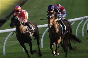 SYDNEY, AUSTRALIA - JANUARY 30: Josh Parr on Big Parade (R) wins race 9 the 50 Years ATC Members Recognition Handicap during Sydney Racing at Rosehill Gardens on January 30, 2021 in Sydney, Australia. (Photo by Mark Evans/Getty Images)