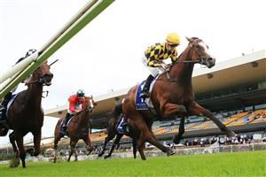 SYDNEY, AUSTRALIA - JANUARY 30: Jason Collett on Mallory wins race 2 the Widden Stakes during Sydney Racing at Rosehill Gardens on January 30, 2021 in Sydney, Australia. (Photo by Mark Evans/Getty Images)