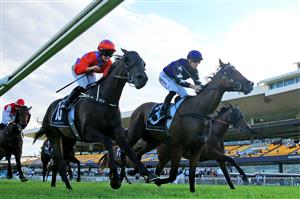 SYDNEY, AUSTRALIA - JANUARY 30: Josh Parr on Big Parade wins race 9 the 50 Years ATC Members Recognition Handicap during Sydney Racing at Rosehill Gardens on January 30, 2021 in Sydney, Australia. (Photo by Mark Evans/Getty Images)