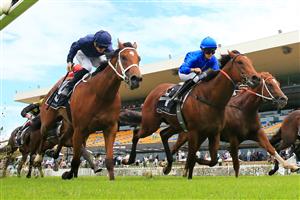 SYDNEY, AUSTRALIA - JANUARY 30: Rachel King on Zethus (royal blue) wins from James McDonald on Home Affairs (navy) in race 3 the Canonbury Stakes during Sydney Racing at Rosehill Gardens on January 30, 2021 in Sydney, Australia. (Photo by Mark Evans/Getty Images)