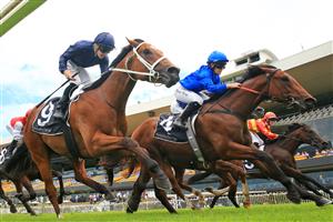 SYDNEY, AUSTRALIA - JANUARY 30: Rachel King on Zethus (royal blue) wins from James McDonald on Home Affairs (navy) in race 3 the Canonbury Stakes during Sydney Racing at Rosehill Gardens on January 30, 2021 in Sydney, Australia. (Photo by Mark Evans/Getty Images)