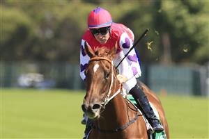 SYDNEY, AUSTRALIA - JANUARY 30: Tommy Berry on Shaik wins race 5 the Rosehill Bowling Club Handicapduring Sydney Racing at Rosehill Gardens on January 30, 2021 in Sydney, Australia. (Photo by Mark Evans/Getty Images)