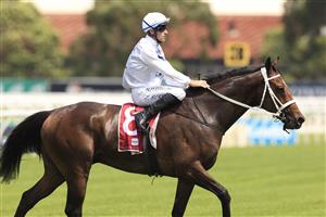 SYDNEY, AUSTRALIA - JANUARY 30: Tommy Berry on Great House returns to scale after winning race 4 the ANZ Bloodstock News Handicap during Sydney Racing at Rosehill Gardens on January 30, 2021 in Sydney, Australia. (Photo by Mark Evans/Getty Images)