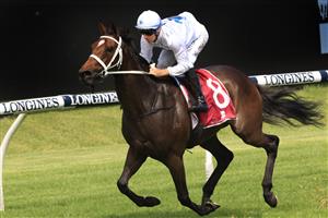 SYDNEY, AUSTRALIA - JANUARY 30: Tommy Berry on Great House wins race 4 the ANZ Bloodstock News Handicap during Sydney Racing at Rosehill Gardens on January 30, 2021 in Sydney, Australia. (Photo by Mark Evans/Getty Images)