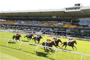 SYDNEY, AUSTRALIA - JANUARY 30: Tommy Berry on Shaik wins race 5 the Rosehill Bowling Club Handicapduring Sydney Racing at Rosehill Gardens on January 30, 2021 in Sydney, Australia. (Photo by Mark Evans/Getty Images)