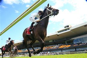 SYDNEY, AUSTRALIA - JANUARY 30: Tommy Berry on Great House wins race 4 the ANZ Bloodstock News Handicap during Sydney Racing at Rosehill Gardens on January 30, 2021 in Sydney, Australia. (Photo by Mark Evans/Getty Images)