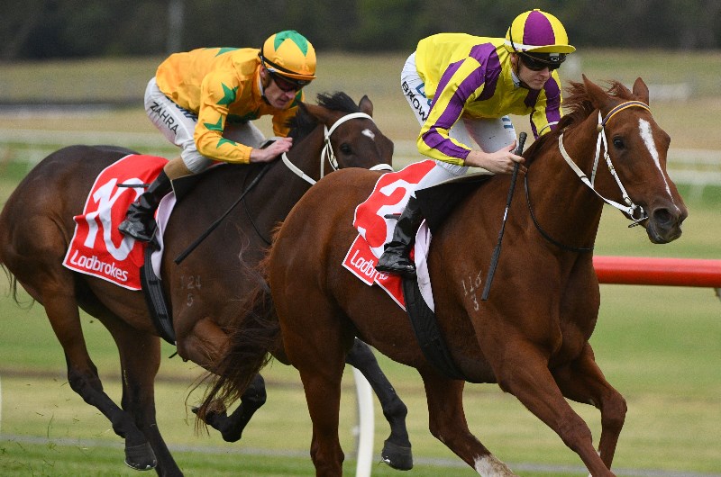 Sandown Betting Tips