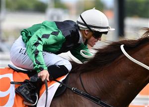 MELBOURNE, AUSTRALIA - JANUARY 30: Will Price riding Ginger Jones winning race 6, the Mal Seccull Handicap, during Melbourne Racing at Caulfield Racecourse on January 30, 2021 in Melbourne, Australia. (Photo by Vince Caligiuri/Getty Images)