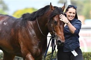 MELBOURNE, AUSTRALIA - JANUARY 30: Portland Sky after winning race 5, the Superior Food Services Manfred Stakes, during Melbourne Racing at Caulfield Racecourse on January 30, 2021 in Melbourne, Australia. (Photo by Vince Caligiuri/Getty Images)