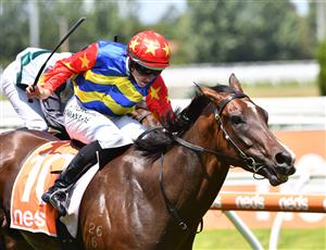 MELBOURNE, AUSTRALIA - JANUARY 30: Damian Lane riding War Critic winning Race 3, the Neds Toolbox Handicap, during Melbourne Racing at Caulfield Racecourse on January 30, 2021 in Melbourne, Australia. (Photo by Vince Caligiuri/Getty Images)