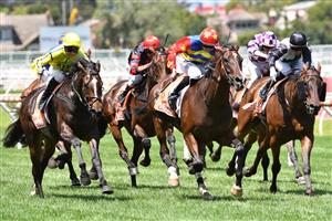 MELBOURNE, AUSTRALIA - JANUARY 30: Damian Lane riding War Critic winning Race 3, the Neds Toolbox Handicap, during Melbourne Racing at Caulfield Racecourse on January 30, 2021 in Melbourne, Australia. (Photo by Vince Caligiuri/Getty Images)