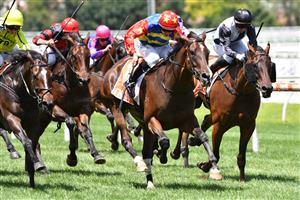 MELBOURNE, AUSTRALIA - JANUARY 30: Damian Lane riding War Critic winning Race 3, the Neds Toolbox Handicap, during Melbourne Racing at Caulfield Racecourse on January 30, 2021 in Melbourne, Australia. (Photo by Vince Caligiuri/Getty Images)