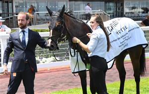 MELBOURNE, AUSTRALIA - JANUARY 30:Trainer Ciaron Maher poses with Enthaar after winning Race 4, the Group Three Chairman's Stakes during Melbourne Racing at Caulfield Racecourse on January 30, 2021 in Melbourne, Australia. (Getty)