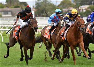 MELBOURNE, AUSTRALIA - JANUARY 30: Billy Egan riding Defibrillate dead heats with Jye McNeil riding Hang Man in Race 9, the John Moule Handicap, during Melbourne Racing at Caulfield Racecourse on January 30, 2021 in Melbourne, Australia. (Photo by Vince Caligiuri/Getty Images)