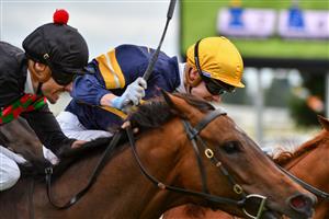 MELBOURNE, AUSTRALIA - JANUARY 30: Billy Egan riding Defibrillate dead heats with Jye McNeil riding Hang Man (r) in Race 9, the John Moule Handicap, during Melbourne Racing at Caulfield Racecourse on January 30, 2021 in Melbourne, Australia. (Photo by Vince Caligiuri/Getty Images)