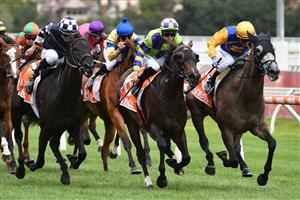 MELBOURNE, AUSTRALIA - JANUARY 30: Luke Currie riding Silent Sovereign to win Race 8, the Robert Hunter Handicap, during Melbourne Racing at Caulfield Racecourse on January 30, 2021 in Melbourne, Australia. (Photo by Vince Caligiuri/Getty Images)