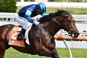 MELBOURNE, AUSTRALIA - JANUARY 30: Luke Currie riding Portland Sky to win race 5, the Superior Food Services Manfred Stakes, during Melbourne Racing at Caulfield Racecourse on January 30, 2021 in Melbourne, Australia. (Photo by Vince Caligiuri/Getty Images)