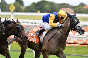 MELBOURNE, AUSTRALIA - JANUARY 30: Luke Currie riding Silent Sovereign to win Race 8, the Robert Hunter Handicap, during Melbourne Racing at Caulfield Racecourse on January 30, 2021 in Melbourne, Australia. (Photo by Vince Caligiuri/Getty Images)