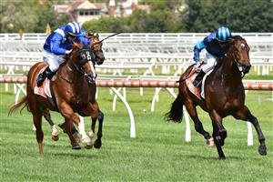 MELBOURNE, AUSTRALIA - JANUARY 30: Luke Currie riding Portland Sky to win race 5, the Superior Food Services Manfred Stakes, during Melbourne Racing at Caulfield Racecourse on January 30, 2021 in Melbourne, Australia. (Photo by Vince Caligiuri/Getty Images)