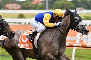 MELBOURNE, AUSTRALIA - JANUARY 30: Luke Currie riding Silent Sovereign to win Race 8, the Robert Hunter Handicap, during Melbourne Racing at Caulfield Racecourse on January 30, 2021 in Melbourne, Australia. (Photo by Vince Caligiuri/Getty Images)