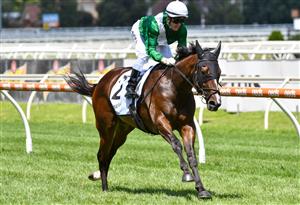 MELBOURNE, AUSTRALIA - JANUARY 30: Mark Zahra riding Enthaar to win Race 4, the Group Three Chairman's Stakes during Melbourne Racing at Caulfield Racecourse on January 30, 2021 in Melbourne, Australia. (Getty)