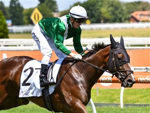 MELBOURNE, AUSTRALIA - JANUARY 30: Mark Zahra riding Enthaar to win Race 4, the Group Three Chairman's Stakes during Melbourne Racing at Caulfield Racecourse on January 30, 2021 in Melbourne, Australia. (Getty)