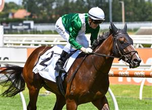 MELBOURNE, AUSTRALIA - JANUARY 30: Mark Zahra riding Enthaar to win Race 4, the Group Three Chairman's Stakes during Melbourne Racing at Caulfield Racecourse on January 30, 2021 in Melbourne, Australia. (Getty)