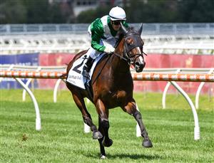 MELBOURNE, AUSTRALIA - JANUARY 30: Mark Zahra riding Enthaar to win Race 4, the Group Three Chairman's Stakes during Melbourne Racing at Caulfield Racecourse on January 30, 2021 in Melbourne, Australia. (Getty)