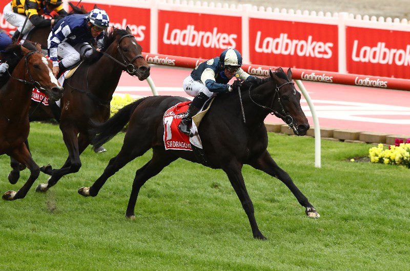 C.F. Orr Stakes Final Field