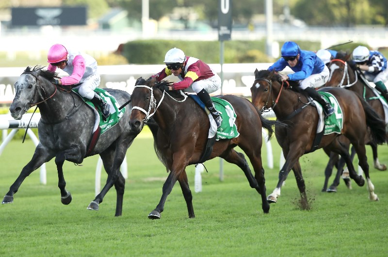 Gosford Tips for 04.02.2021