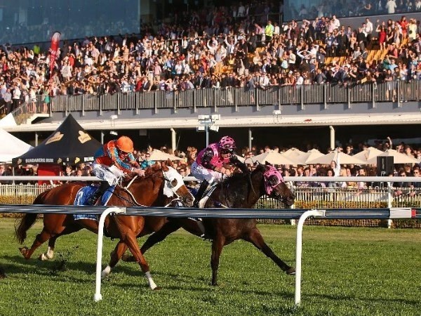 Doomben Betting Tips