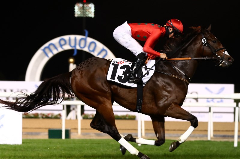 Meydan Tips | Best Bets & Odds for February 4th