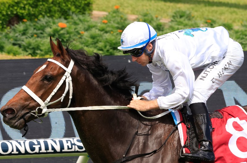 tommy berry megabet